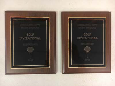 2 boys golf awards