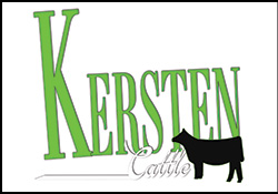 Kersten Cattle