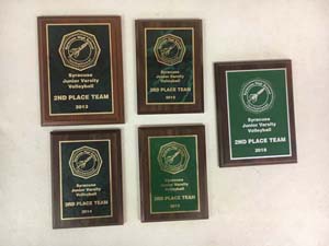 5 Volleyball Awards