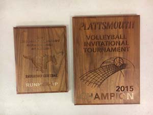 Volleyball awards 2015